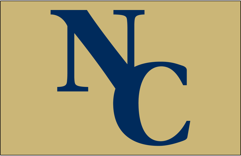 Northern Colorado Bears 2010-2013 Helmet Logo diy iron on heat transfer
